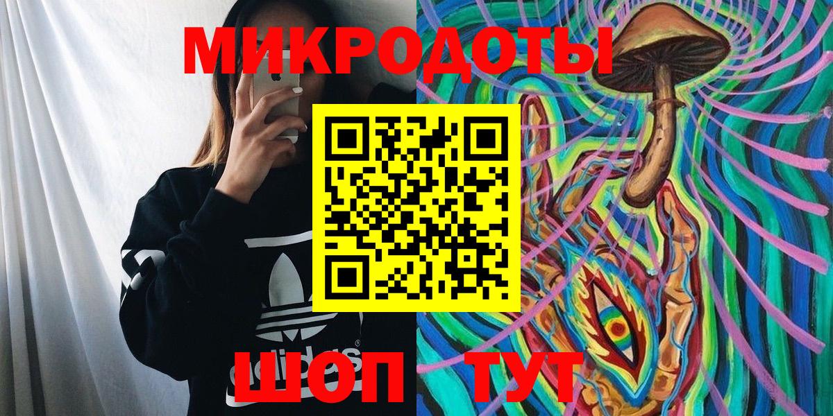 Псилоцибиновые грибы прущие грибы Богданович