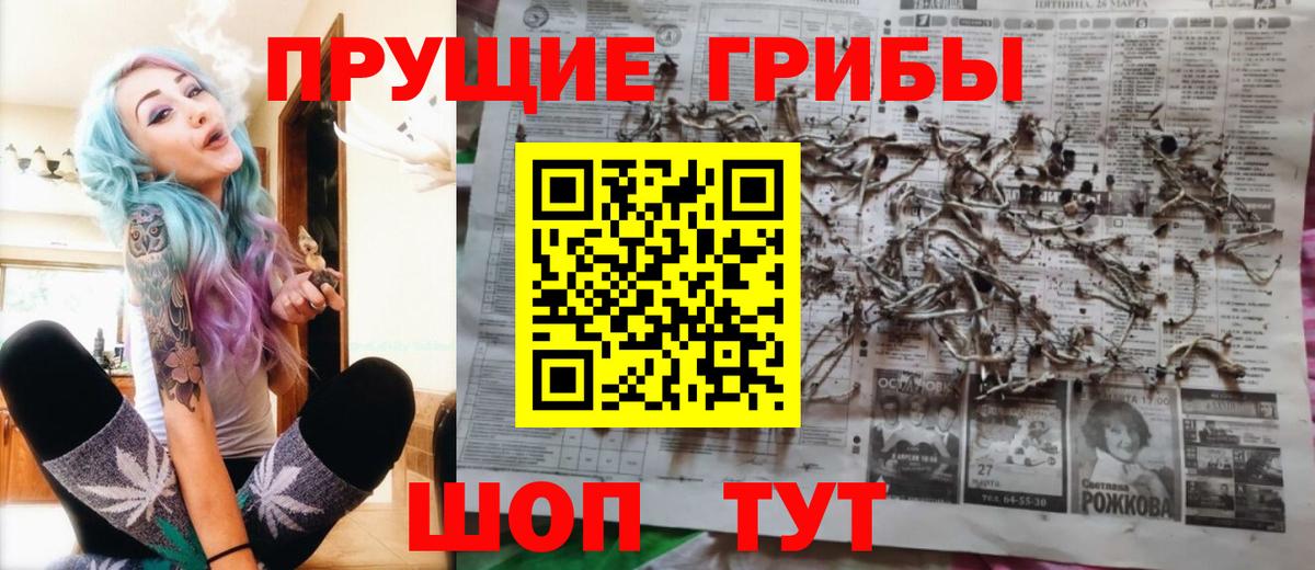 Галлюциногенные грибы Psilocybe  Псилоцибиновые грибы мухоморы  Богданович  даркнет сайт  Вход с VPN 